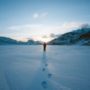 Person alone in winterscape