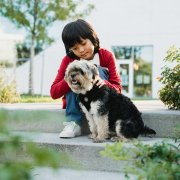 Child with dog